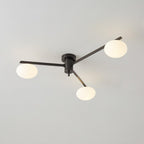 Jania Modern Glass Black Ceiling Light