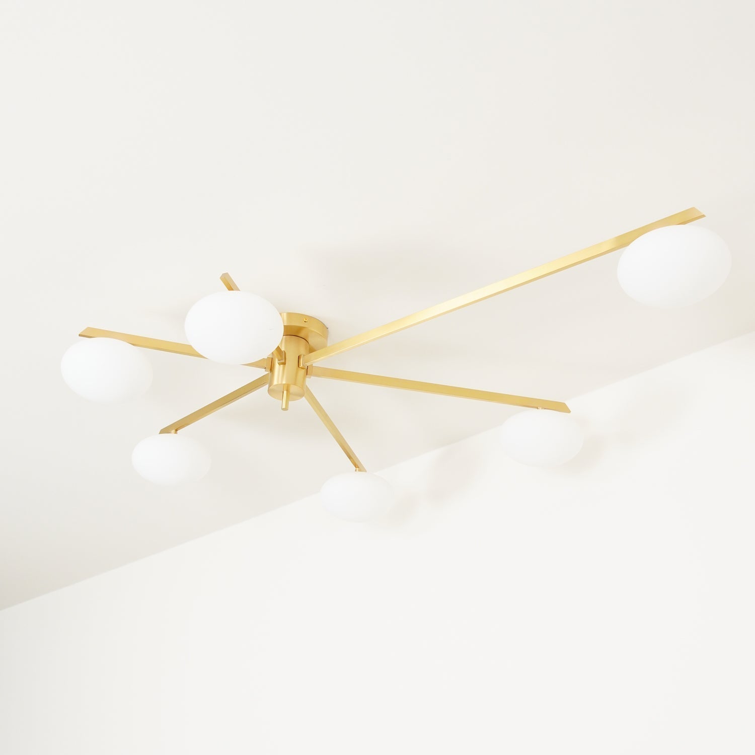 Jania Modern Glass Black Ceiling Light
