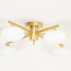 Jania Modern Glass Black Ceiling Light