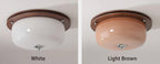 Ceiling Light Glass Flush Mount Modern Minimalist Walnut Brown