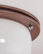 Ceiling Light Glass Flush Mount Modern Minimalist Walnut Brown