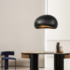 Pendant Lamp Pebble Inspired Organic Form Soft Glow Modern Artistic