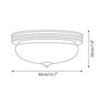 Ceiling Light Metal Canopy and Glass Shade Classic Round Modern