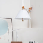 Pendant Lamp Modern Metal Shade in Green and White Minimalist