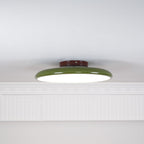 Fyne Adjustable Ceiling Light Colorful for Bedroom - product image 17