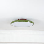 Fyne Adjustable Ceiling Light Colorful for Bedroom - product image 19