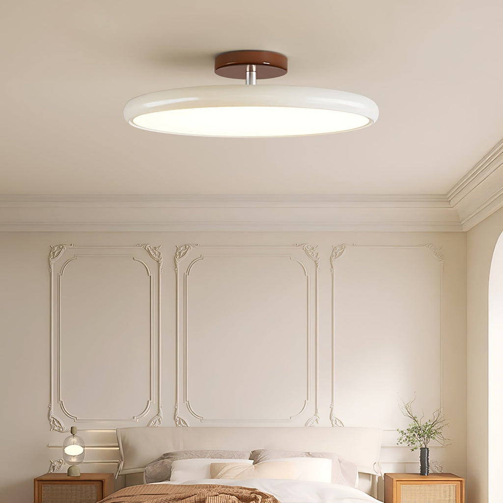 Fyne Adjustable Ceiling Light Colorful for Bedroom - product image 30