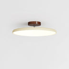 Fyne Adjustable Ceiling Light Colorful for Bedroom - product image 7
