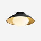 Ceiling Light Metal Canopy Glass Globe Modern Minimalist