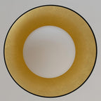 Ceiling Light Metal Canopy Glass Globe Modern Minimalist