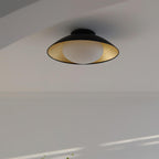 Ceiling Light Metal Canopy Glass Globe Modern Minimalist
