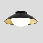 Ceiling Light Metal Canopy Glass Globe Modern Minimalist