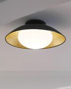 Ceiling Light Metal Canopy Glass Globe Modern Minimalist