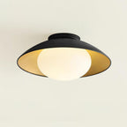 Ceiling Light Metal Canopy Glass Globe Modern Minimalist