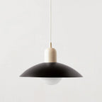 Aira  Pendant Light Modern  Colorful Dome-shaped