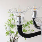 Aurora Chandelier Black Murano Candle Arm Glass Classic