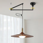 Veylo Adjustable Swing Arm Pendant Light