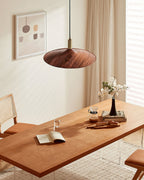 Veylo Adjustable Swing Arm Pendant Light