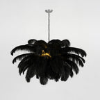 Lustra Chandelier Ostrich Feather Large Brass Stem