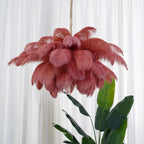Lustra Chandelier Ostrich Feather Large Brass Stem