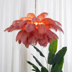 Lustra Chandelier Ostrich Feather Large Brass Stem