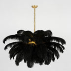 Lustra Chandelier Ostrich Feather Large Brass Stem