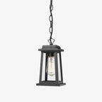 Ray Outdoor Lantern Pendant Light