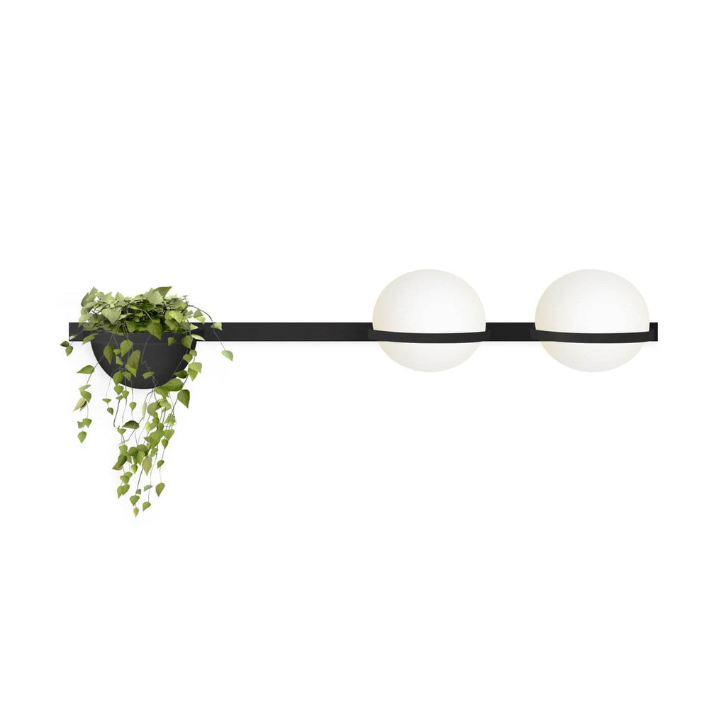Ray Indoor  Outdoor Wall Light