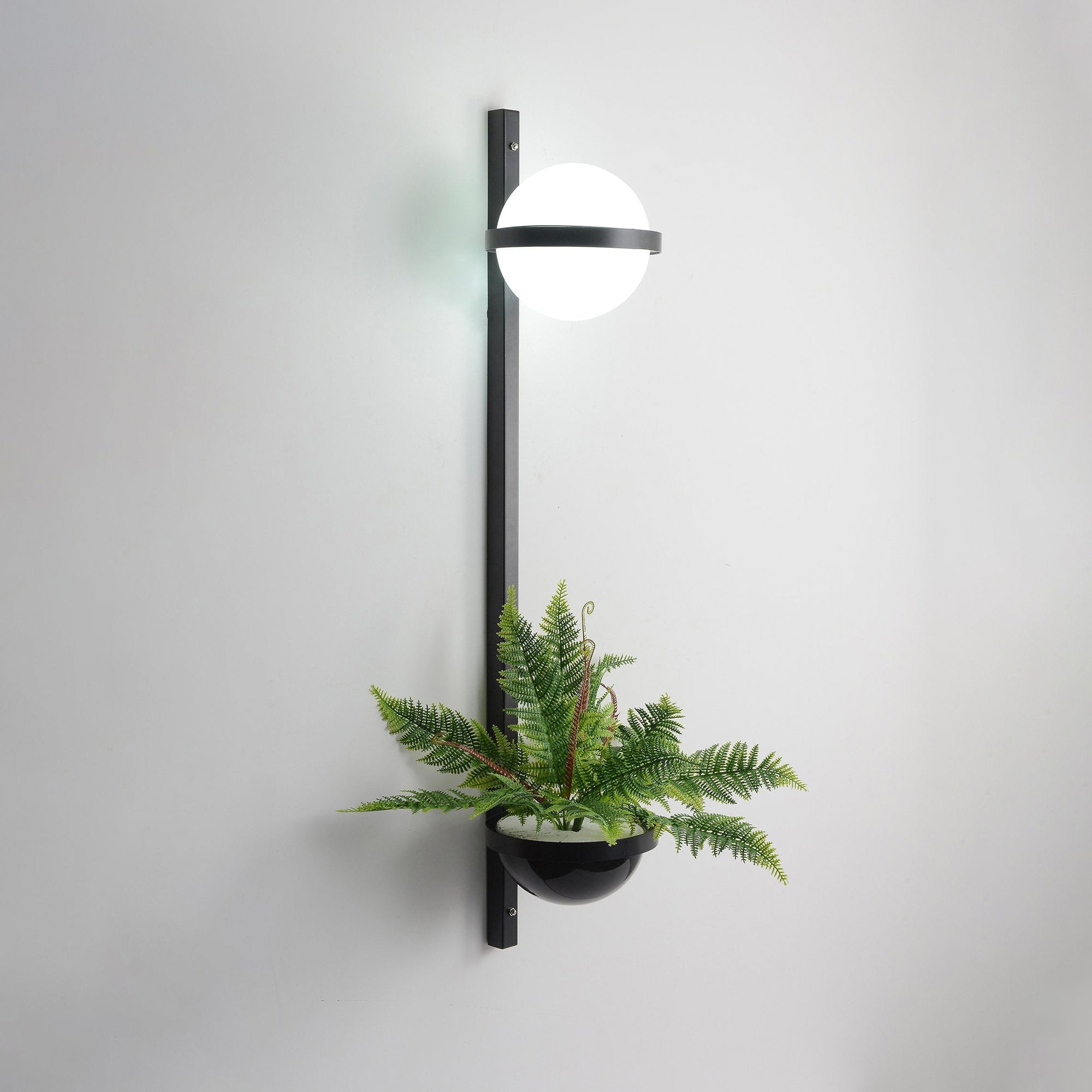 Ray Indoor  Outdoor Wall Light