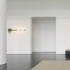 Ray Indoor  Outdoor Wall Light