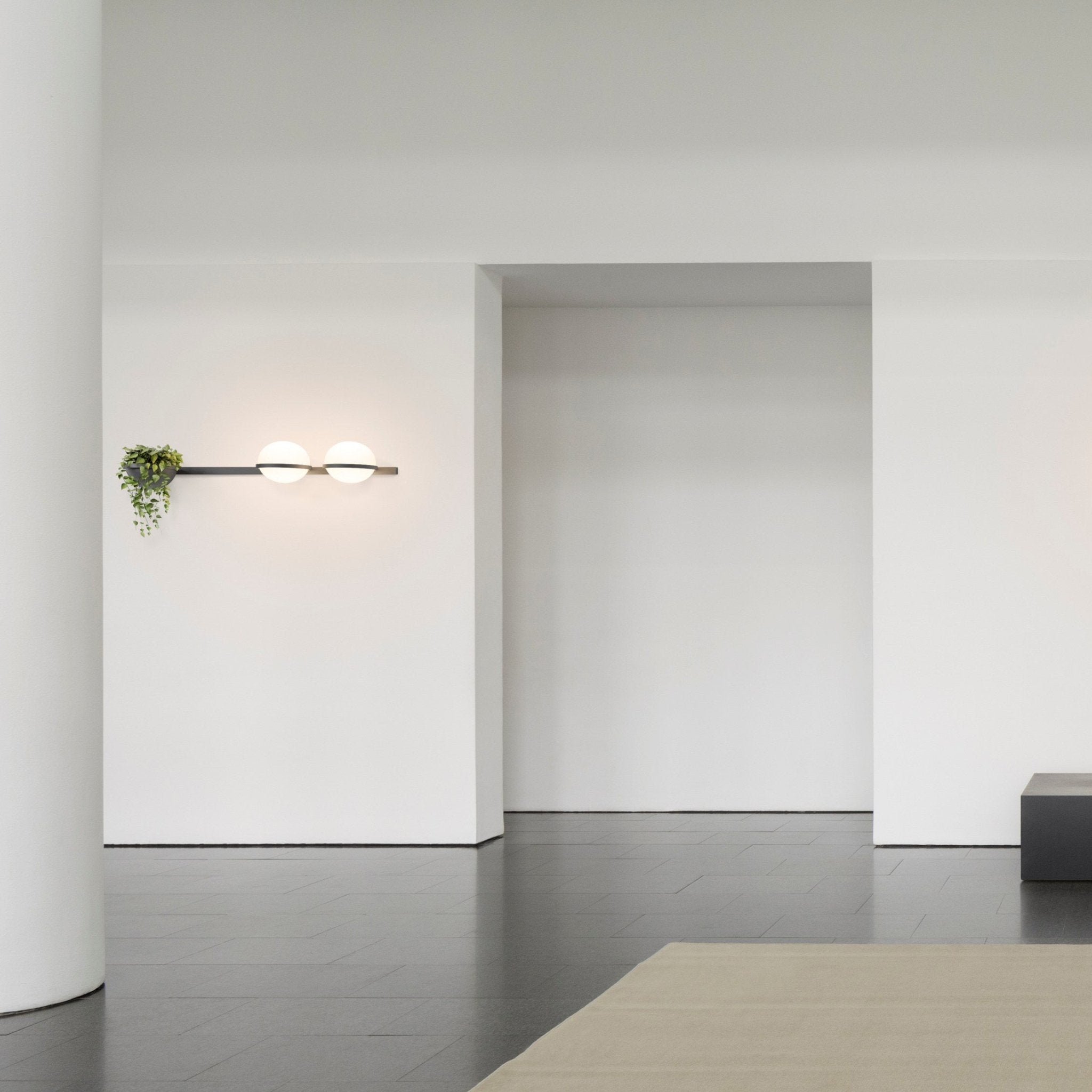 Ray Indoor  Outdoor Wall Light