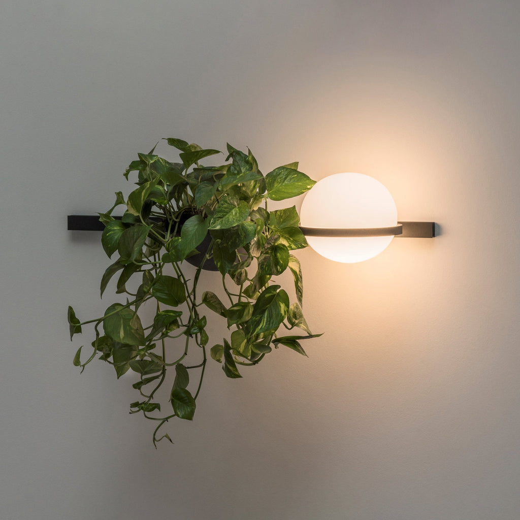 Ray Indoor  Outdoor Wall Light