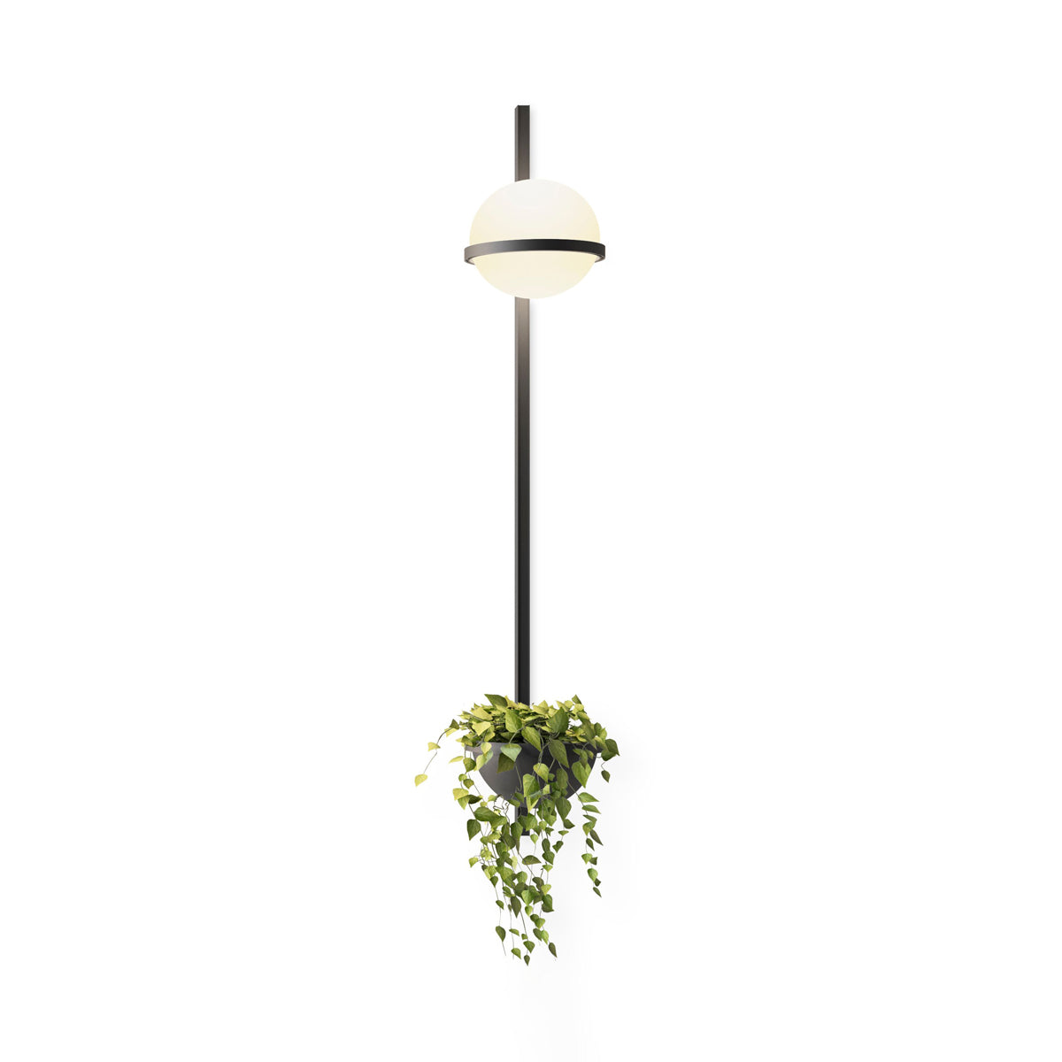 Ray Indoor  Outdoor Wall Light