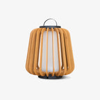 Ray Portable Lantern Outdoor Light
