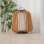 Ray Portable Lantern Outdoor Light