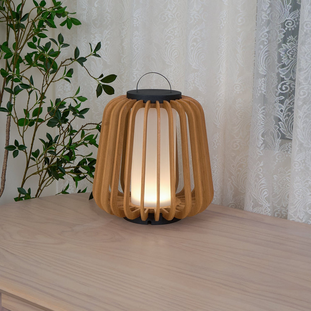 Ray Portable Lantern Outdoor Light