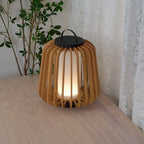 Ray Portable Lantern Outdoor Light
