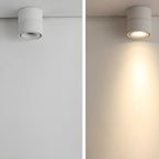 Thyn Round Rotatable Ceiling Light Spotlight