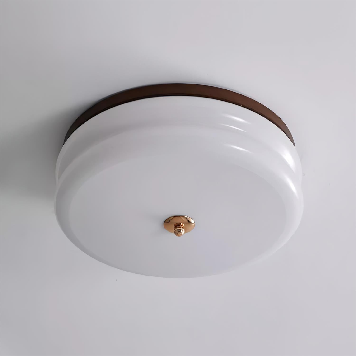 Ceiling Light Double-Layer Glass Disc Walnut Wood Minimalist