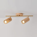 Arthur Ceiling Light Spotlight