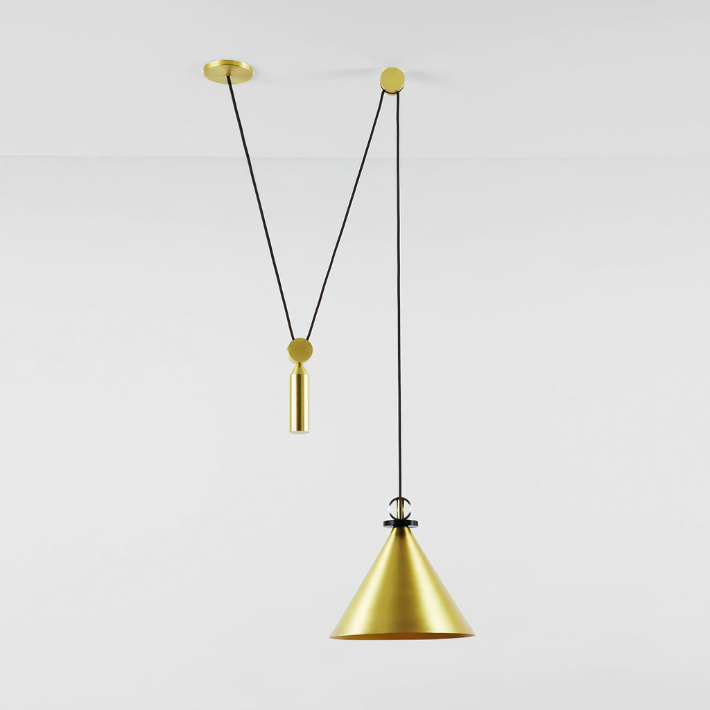 Covine Multi-Shape Adjustable Pendant Light