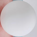 Petani Pink Yellow Flower Wall Light