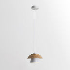 Arisha Modern Metal/Wood Pendant Light, Multi Color