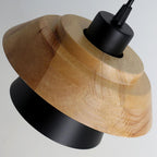 Arisha Modern Metal/Wood Pendant Light, Multi Color