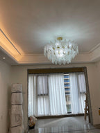 Lylorisra  Crystal Chandelier