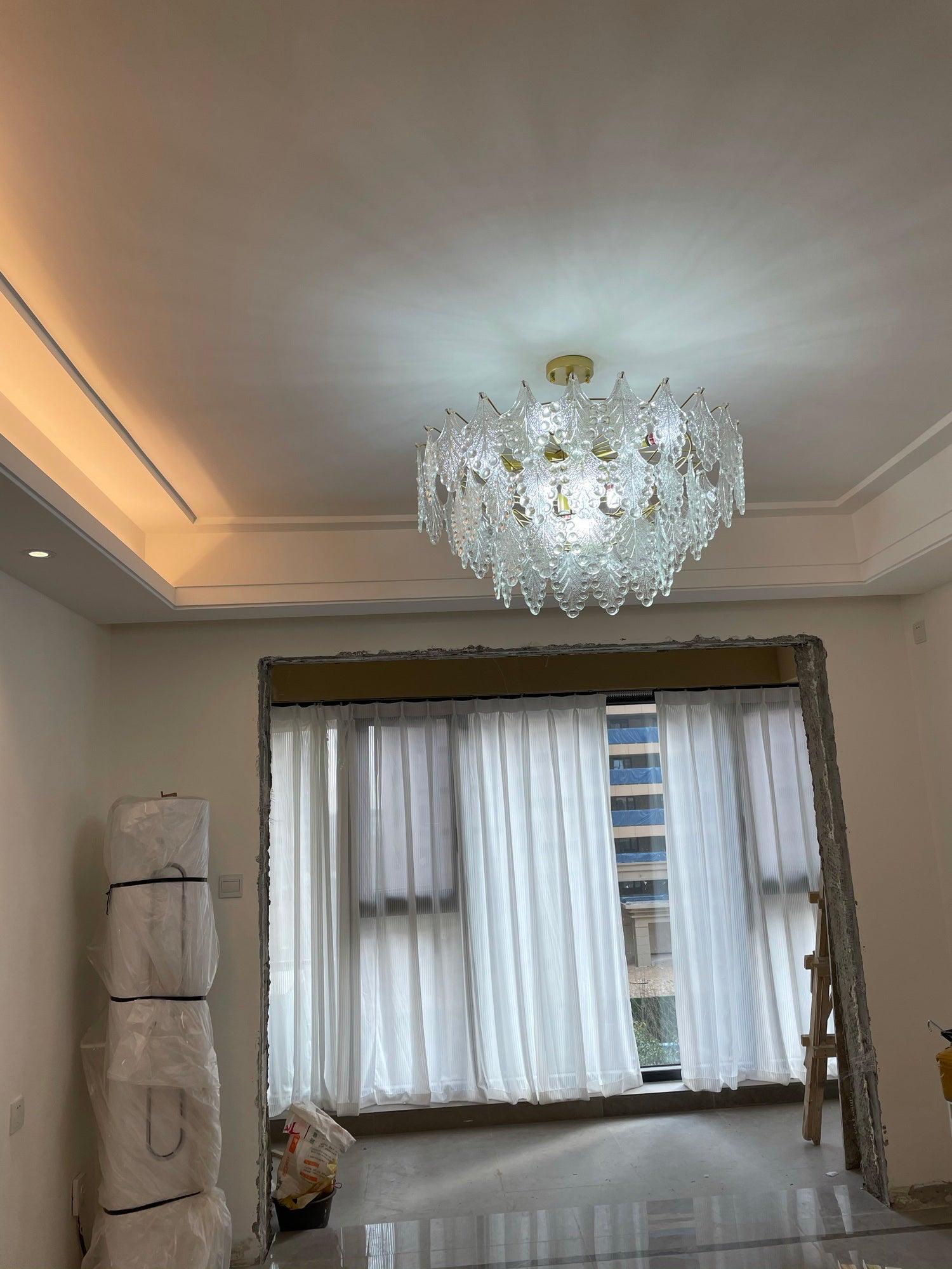 Lylorisra  Crystal Chandelier