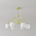Tulip Fresh Chandeliers Glass