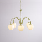 Tulip Fresh Chandeliers Glass