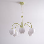 Tulip Fresh Chandeliers Glass
