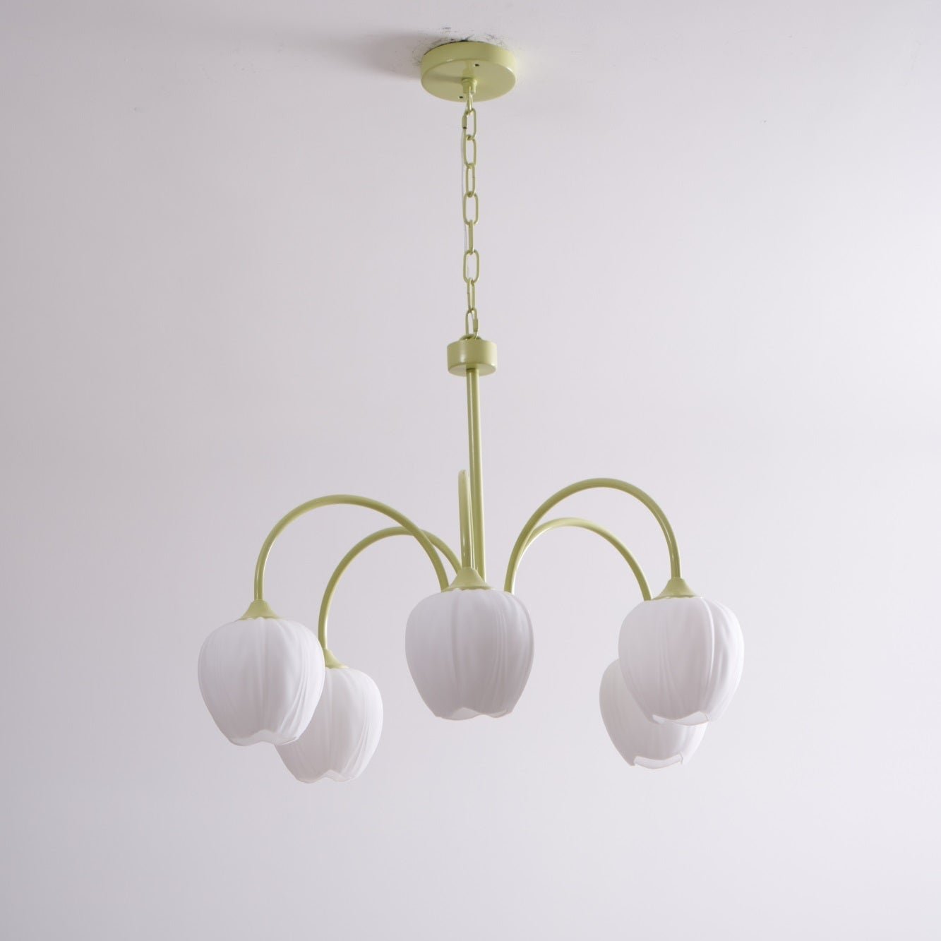 Tulip Fresh Chandeliers Glass